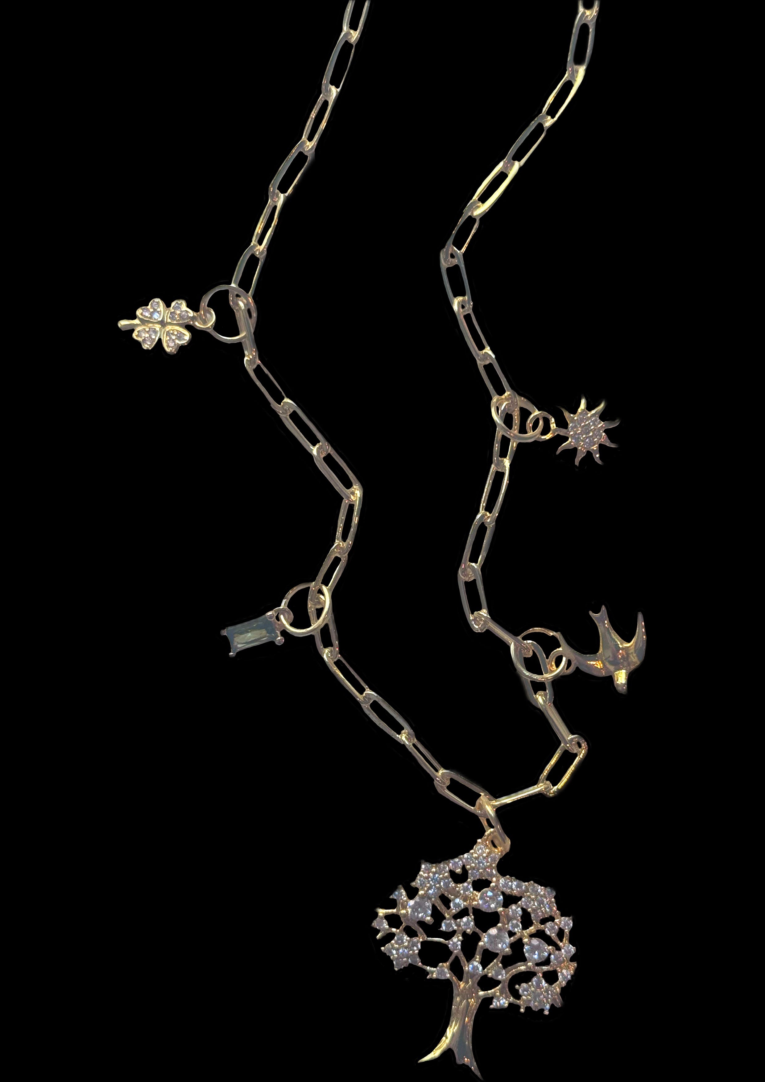 The Talisman Necklace