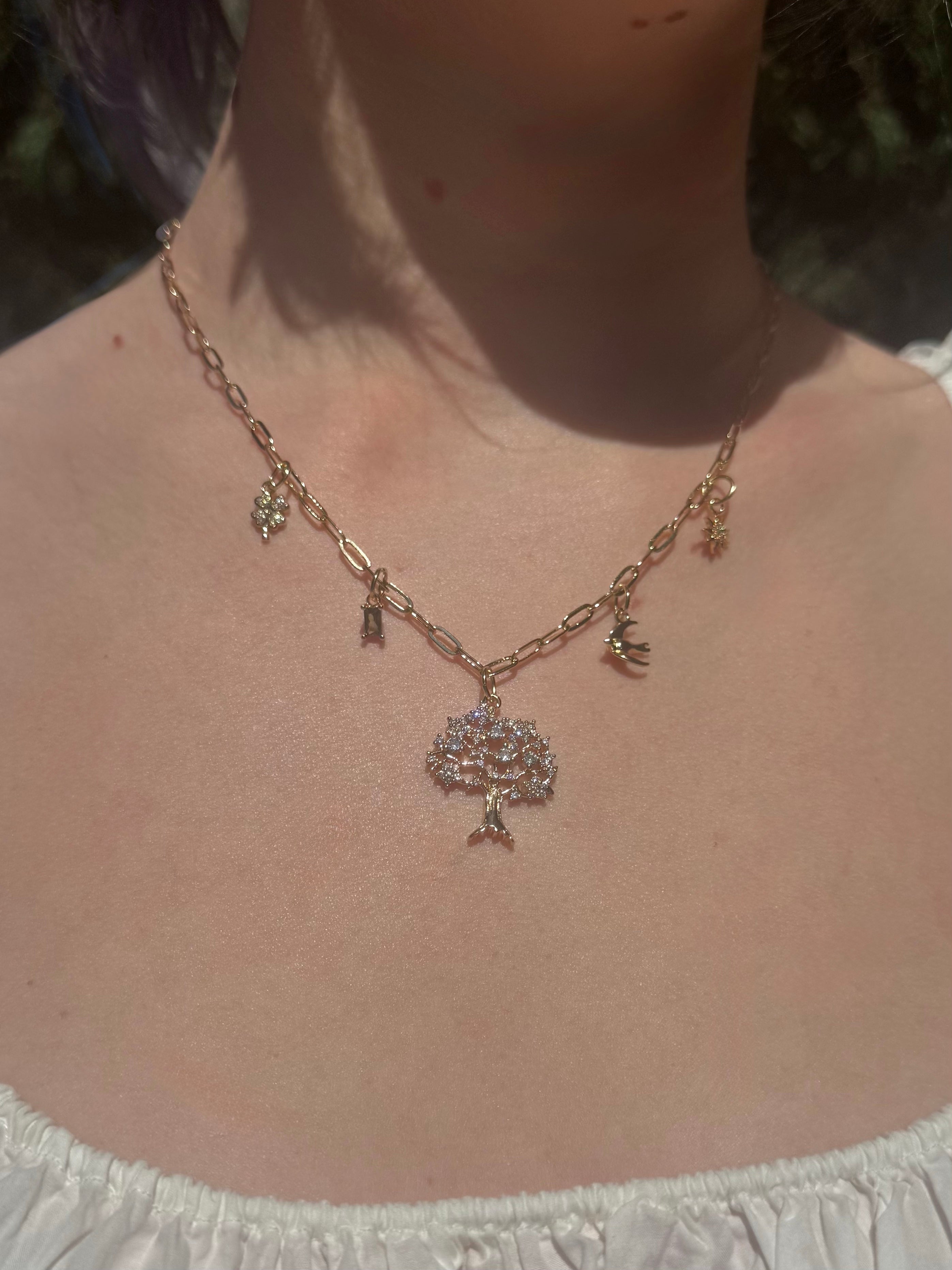 The Talisman Necklace