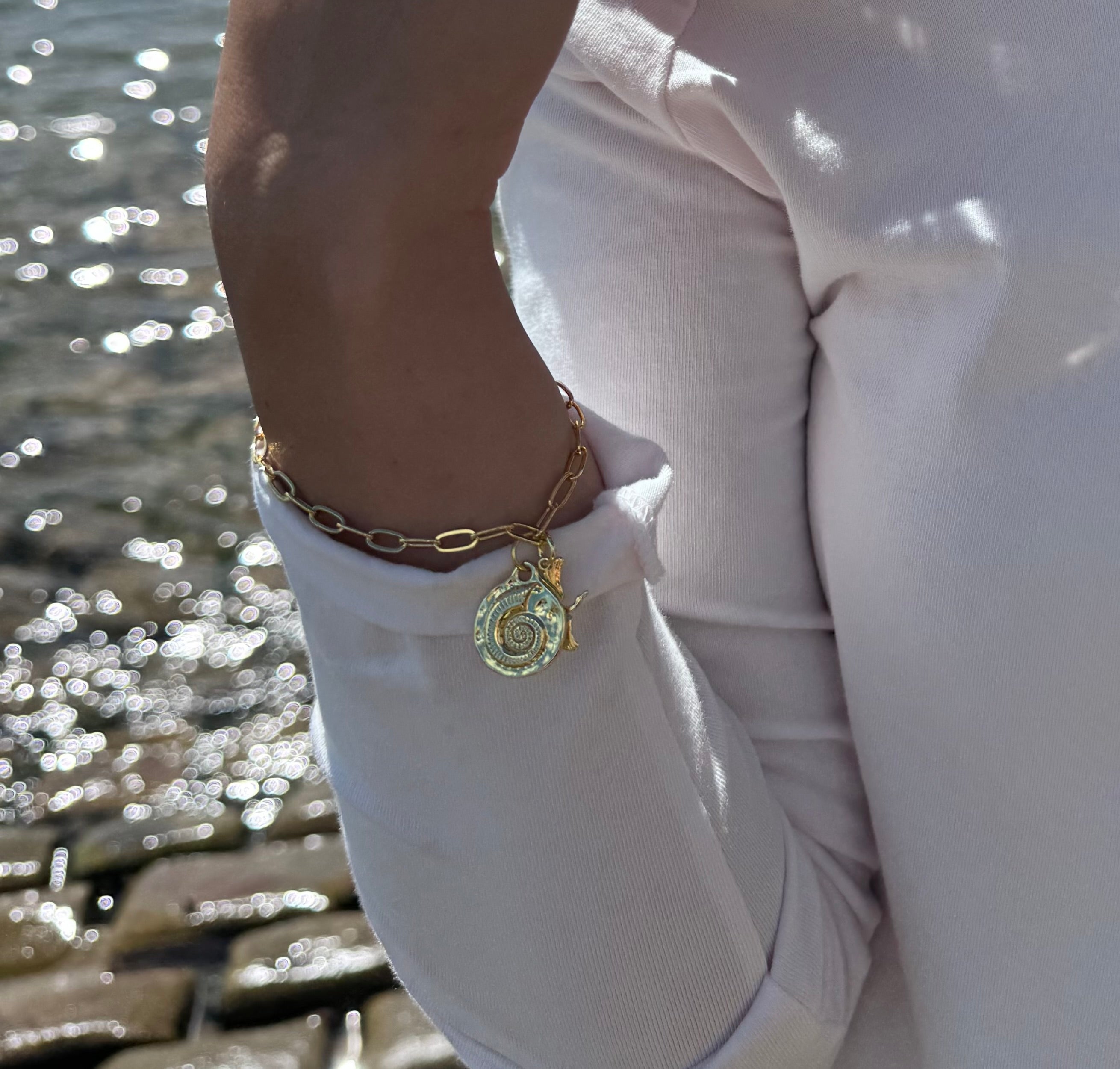 The Fossil Bracelet